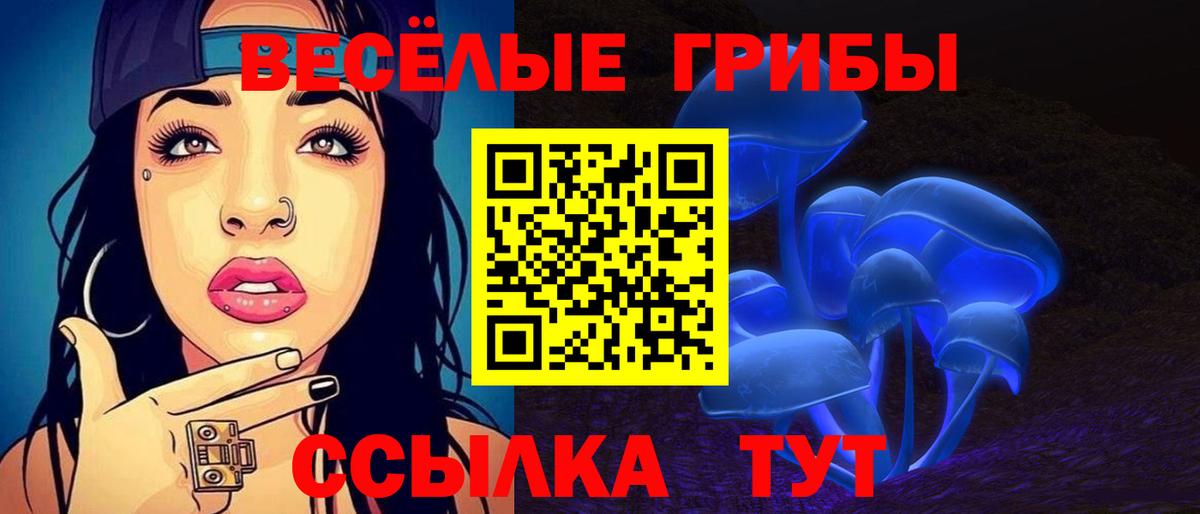 Губкинский  Псилоцибиновые грибы Psilocybe  Вход с VPN 